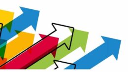 Most Job Opportunities