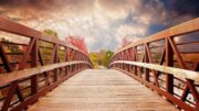 Burning Bridges