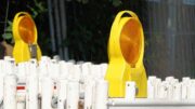 Sabotaging Your Job Search