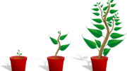 Grow Your Career