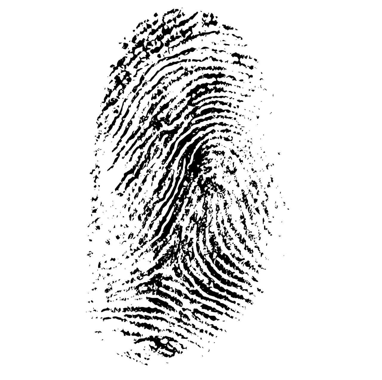 Lawyer Fingerprinting
