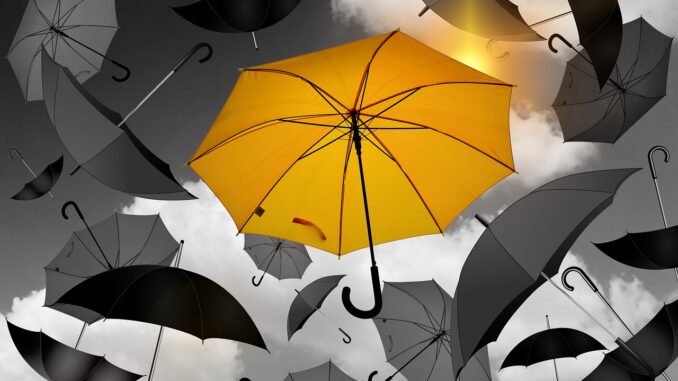 No Sympathy For The Legal Profession 7 Reasons Why