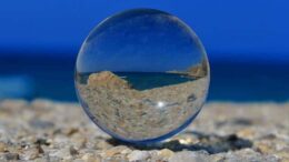 The Future of The Legal Industry