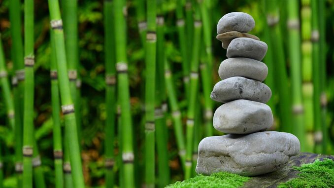 Work-Life Balance For In-House Counsel: A Contrarian View Work-Life Balance For In-House Counsel: A Contrarian View