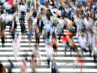 Survey: Lawyers Contribute Least to Society